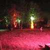 /Bilder/2006/Fusion_Festival_2006/_tump/img_1250.jpg.jpg