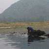 /Bilder/2007/China/2007_08_21-guilin-yangshuo/_tump/img_6251.jpg.jpg