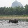 /Bilder/2007/China/2007_08_21-guilin-yangshuo/_tump/img_6289.jpg.jpg