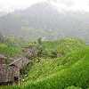 /Bilder/2007/China/2007_08_25-guilin-reisterassen/_tump/img_6451.jpg.jpg