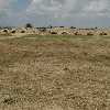 /Bilder/2007/Tunesien/2007_04_30-cartago-zink/_tump/IMG_5389.JPG.jpg