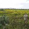 /Bilder/2007/Tunesien/2007_04_30-cartago-zink/_tump/IMG_5405.JPG.jpg