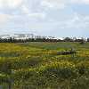 /Bilder/2007/Tunesien/2007_04_30-cartago-zink/_tump/IMG_5406.JPG.jpg