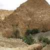 /Bilder/2007/Tunesien/2007_05_08-tunesien-tozeur-ksar_ghilane/_tump/IMG_5517.JPG.jpg