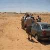 /Bilder/2007/Tunesien/2007_05_09-tunesien-ksar_ghilane-tozeur/_tump/IMG_5675.JPG.jpg