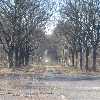 /Bilder/2008/2008_03_24-Kampnitz/_tump/img_8057.jpg.jpg