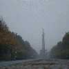 /Bilder/2008/2008_10_12-jagen-tiergarten/_tump/img_9195.jpg.jpg