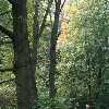 /Bilder/2008/2008_10_12-jagen-tiergarten/_tump/img_9217.jpg.jpg