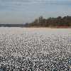 /Bilder/2009/2009_01_11-schlittschuh-wannsee/_tump/IMG_1002.JPG.jpg