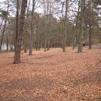 Schlachtensee im Januar 2005.