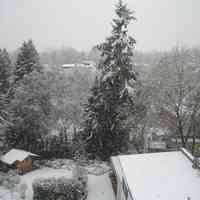 Schnee Anfang November an eine